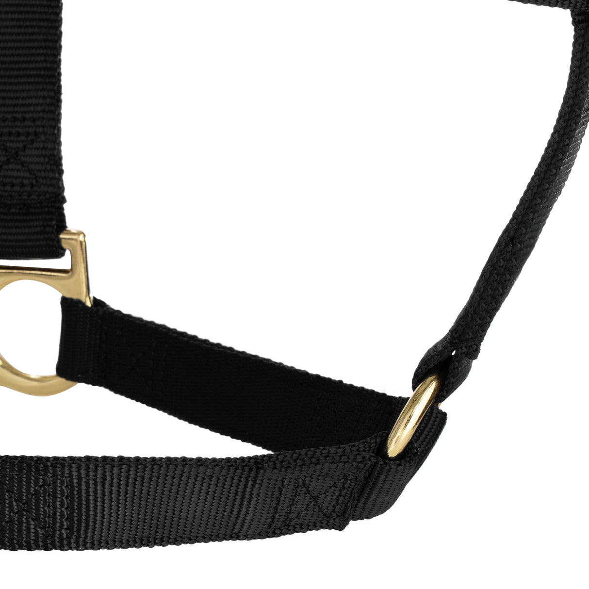 Basic Non-Adjustable Halter