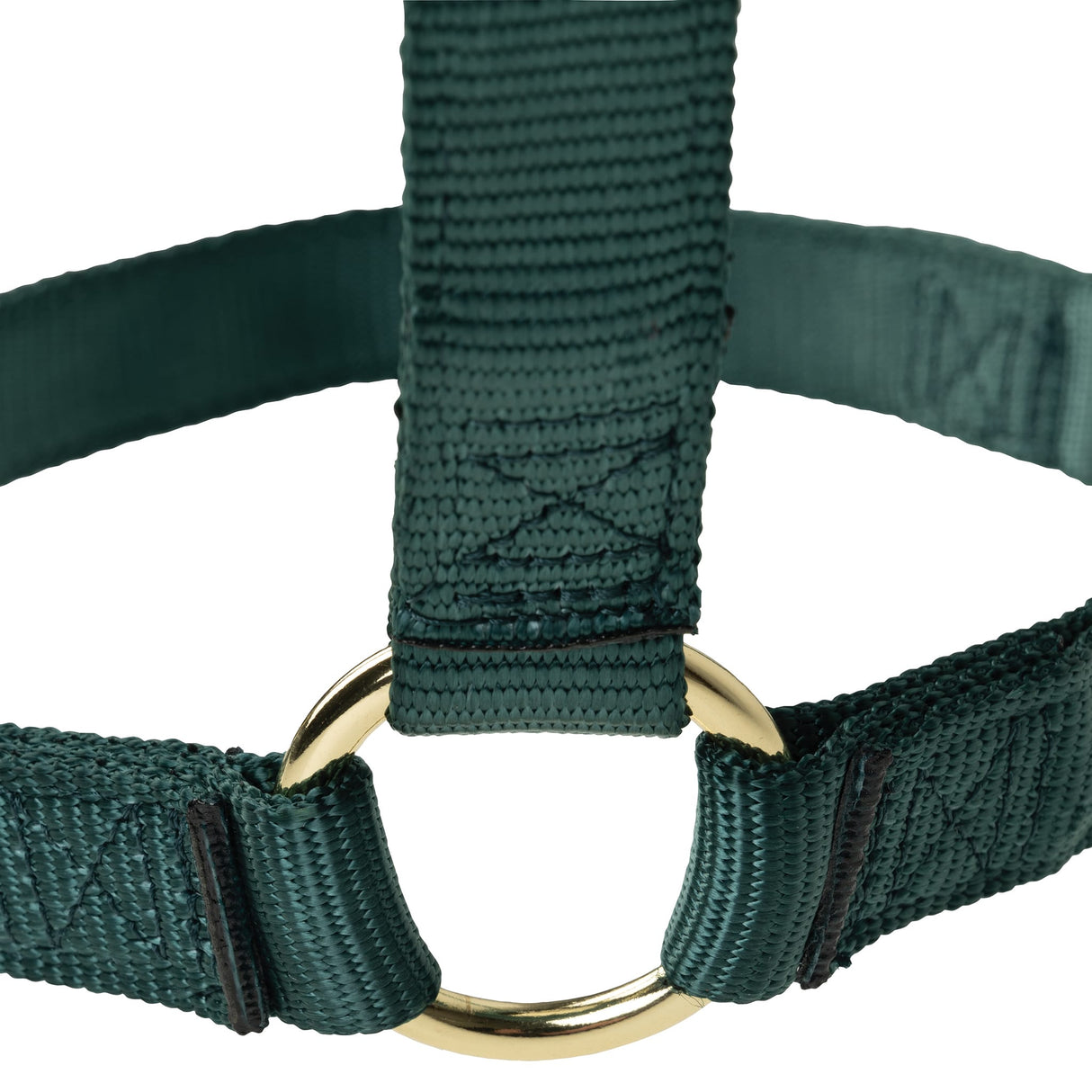 Poly Horse Halter, Non-Adjustable with Throat Snap, Weanling to Large