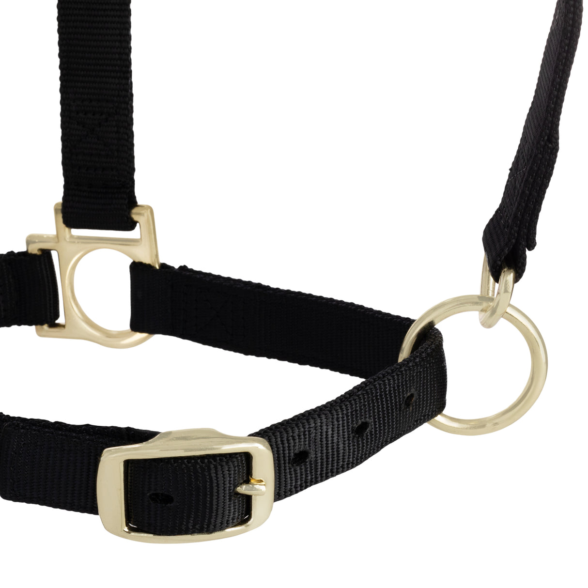 Basic Adjustable Chin and Throat Snap Halter