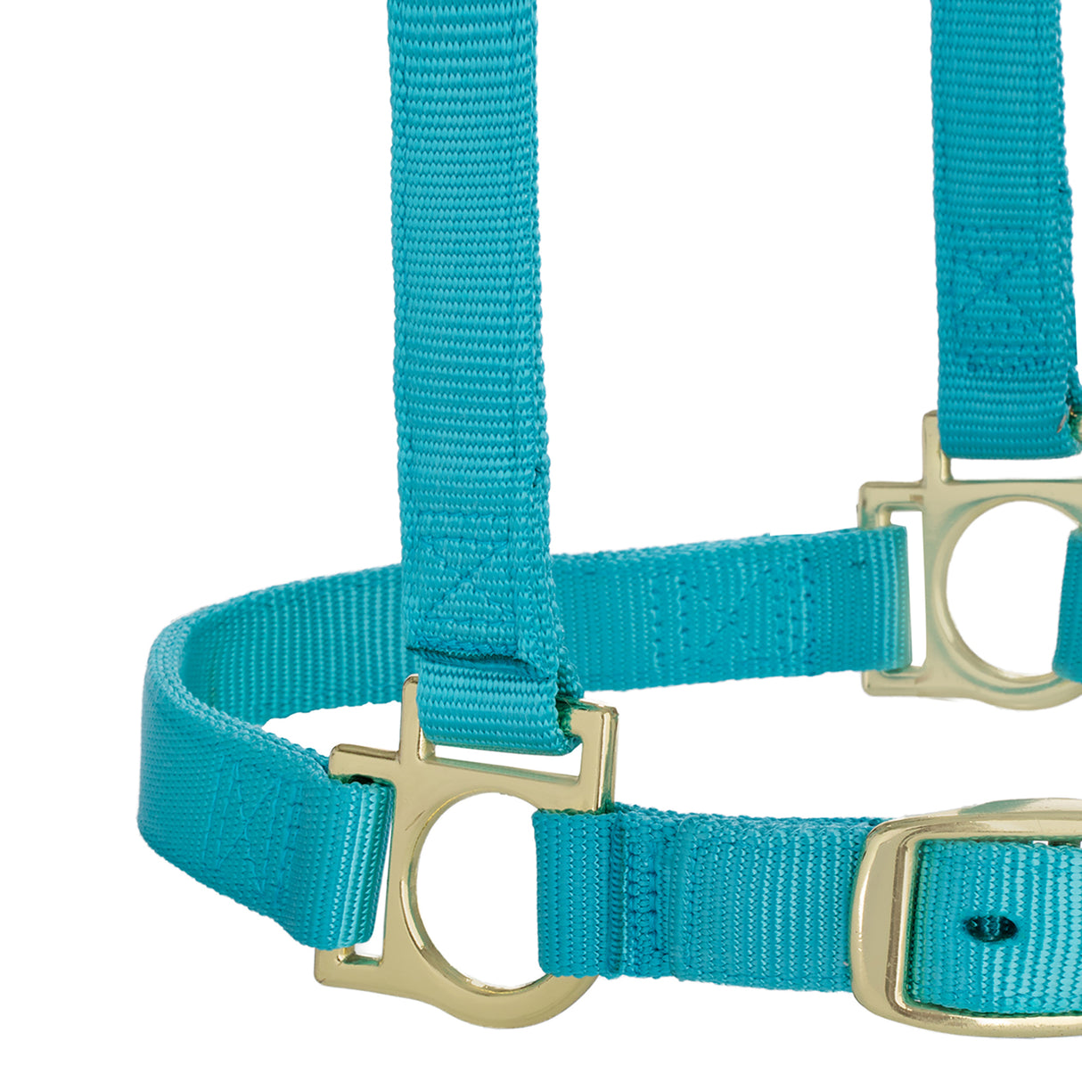 Basic Adjustable Chin and Throat Snap Halter