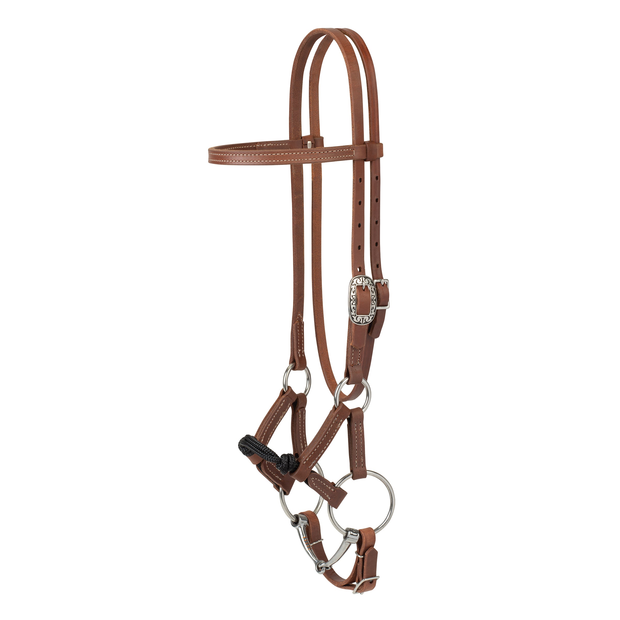 Kalley Krickeberg Horseman's Bridle for Transition from Bitless to Snaffle Bit