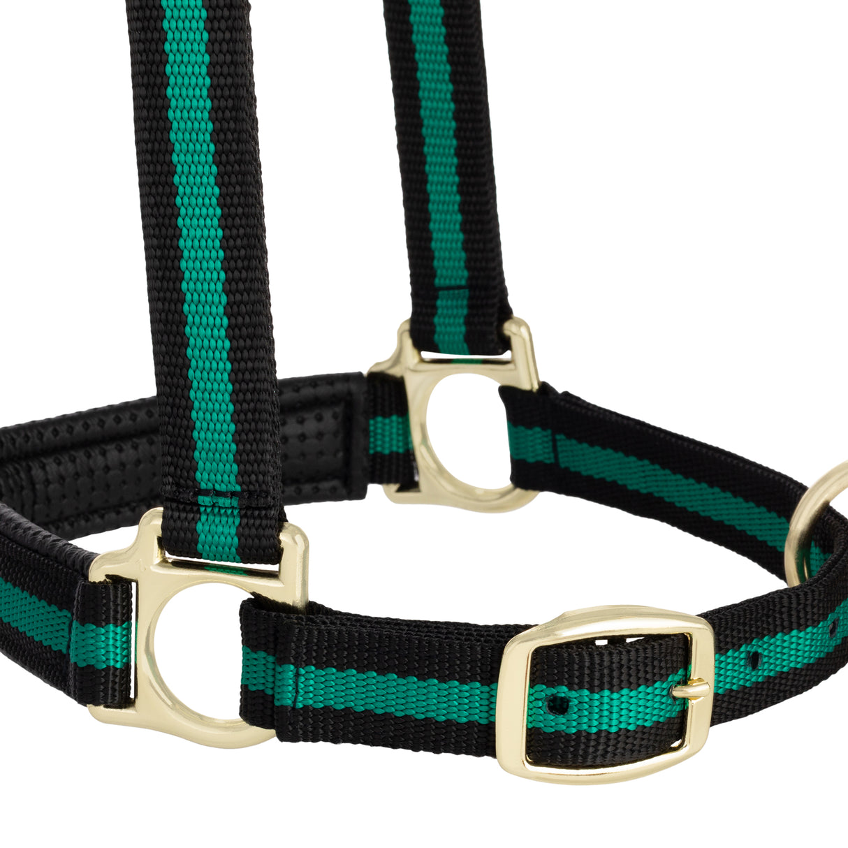 Padded Adjustable Chin and Throat Snap Halter, Striped