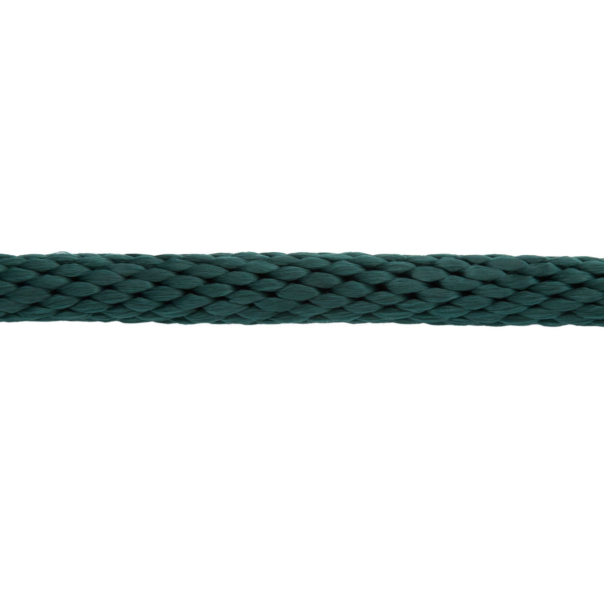 Mini/Pony Lead with Brass Snap