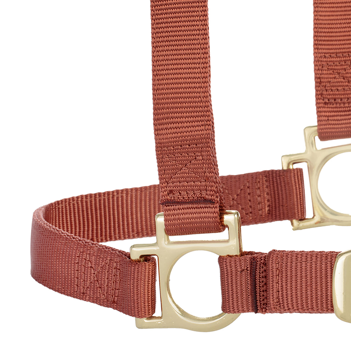 Basic Adjustable Chin and Throat Snap Halter