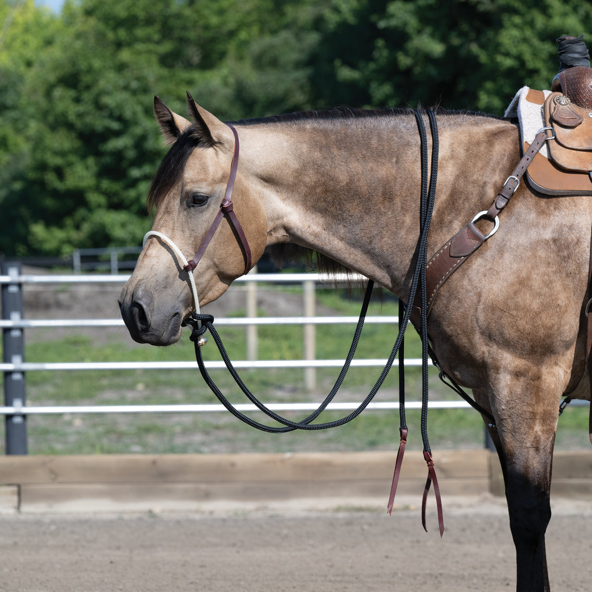 Loping Hackamore Leather Hanger with Mecate Rein
