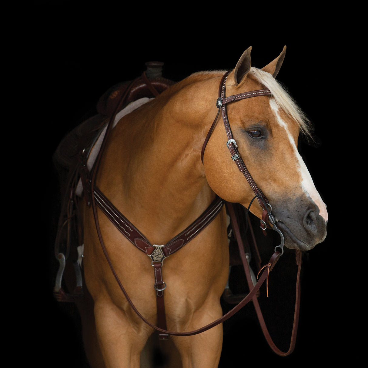 Austin Breast Collar