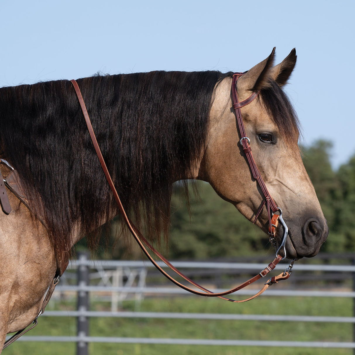 Latigo Leather Flat Sliding Ear Headstall