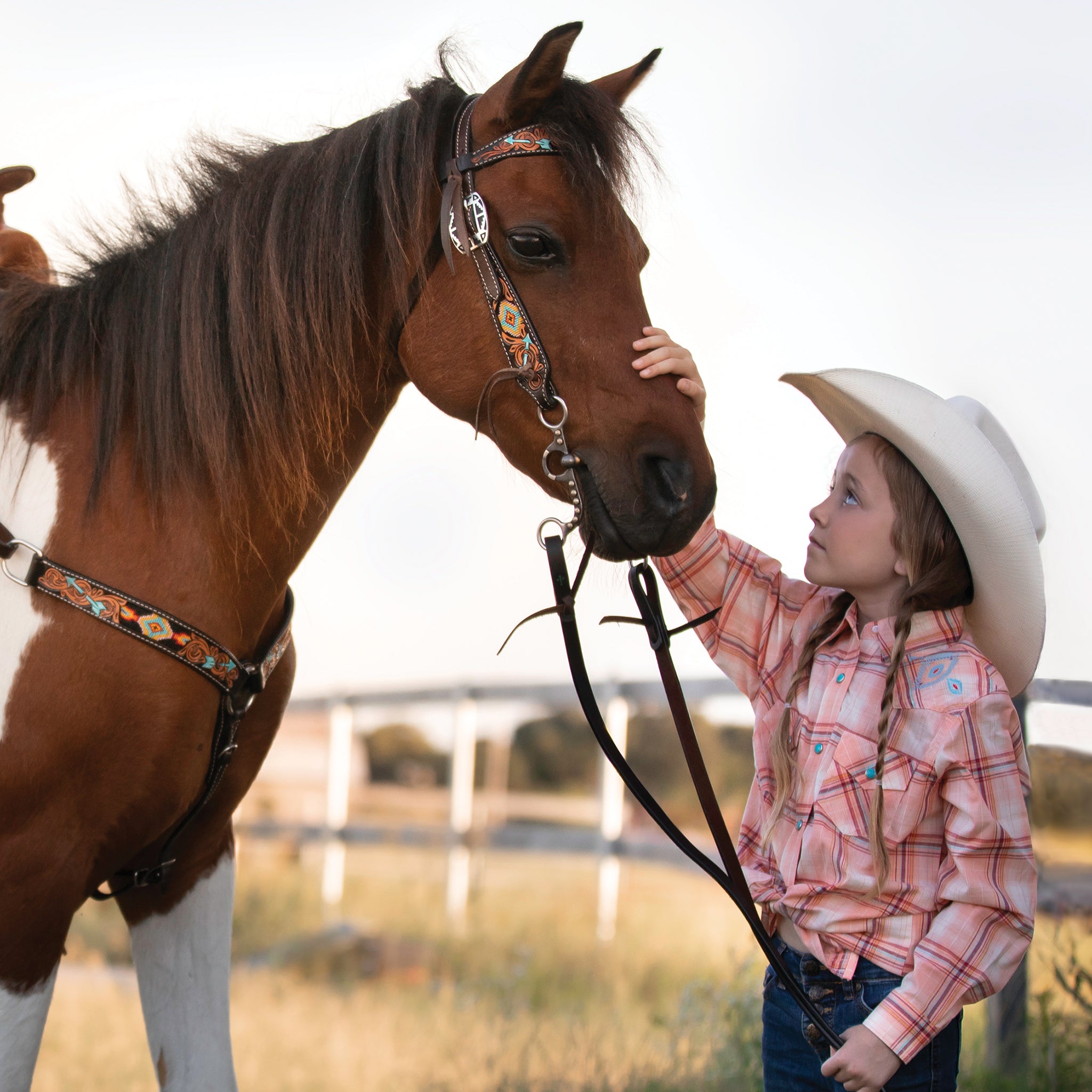 4-5/8" Pony Bit, Correction Mouth, Buffed Black