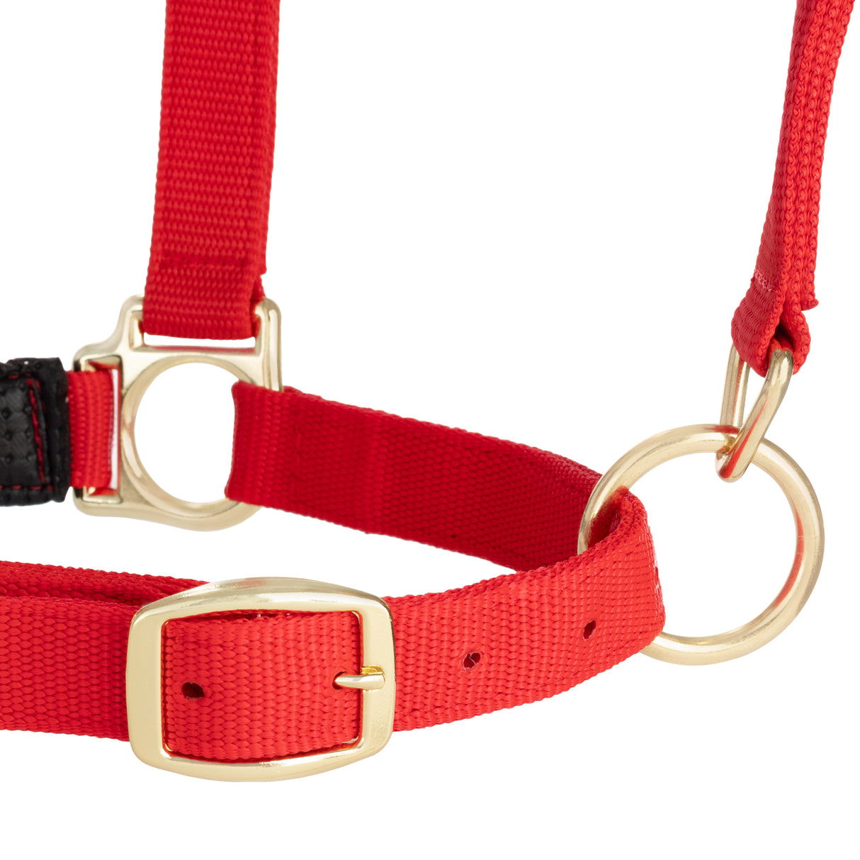 Padded Adjustable Chin and Throat Snap Halter, Solid Colors