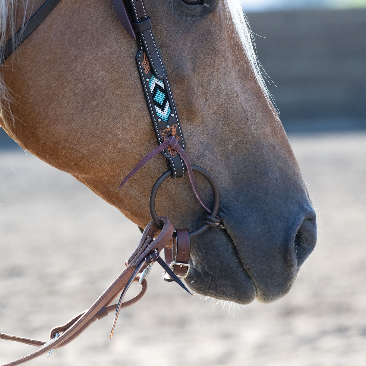 Professional Ring Snaffle Bit, 5" Twisted Curved Mouth