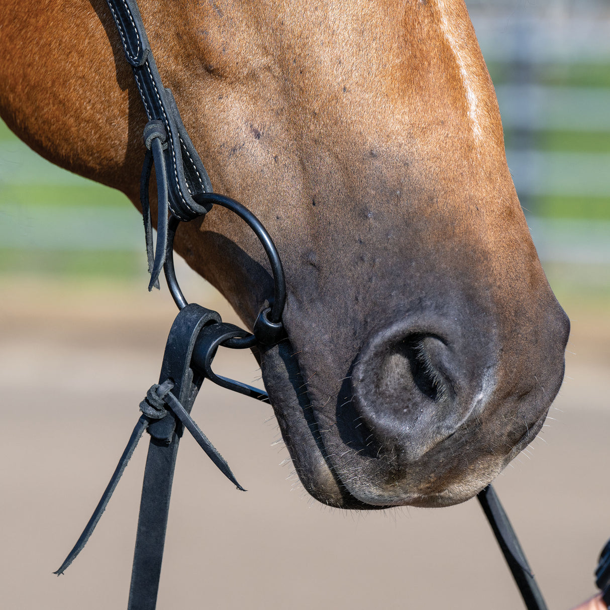 Ring Snaffle Bit with 5" Sweet Iron Dogbone Mouth with Copper Inlay