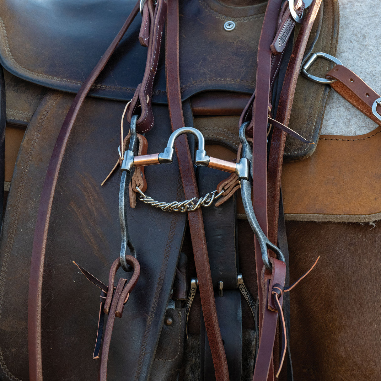 Professional Shank Bit, 5" Low Port Correction Mouth with Flat Copper Roller Bars