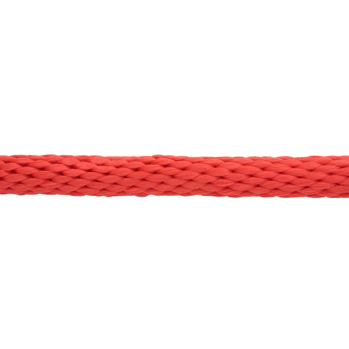 Mini/Pony Lead with Brass Snap