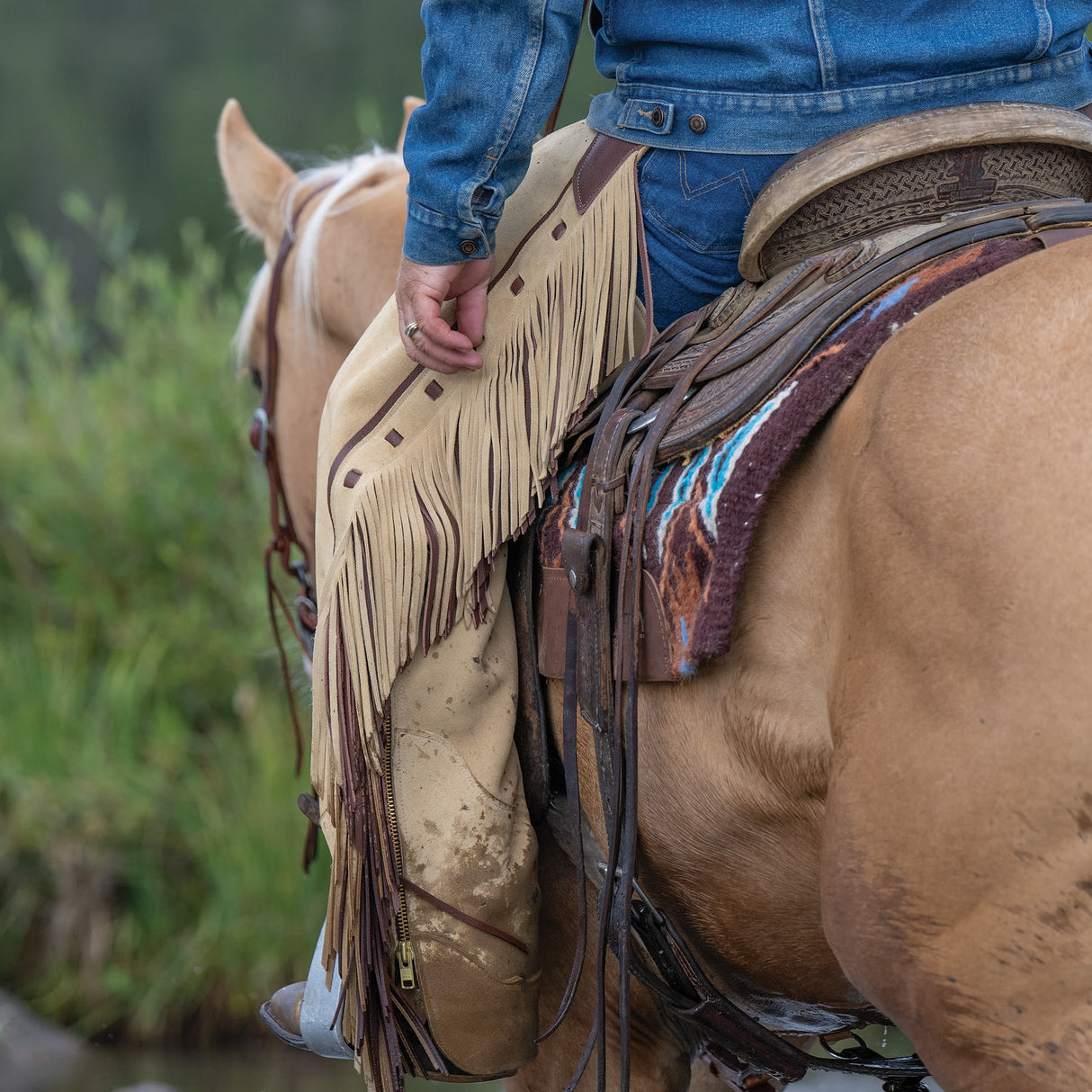 Premium Western Leather Chaps