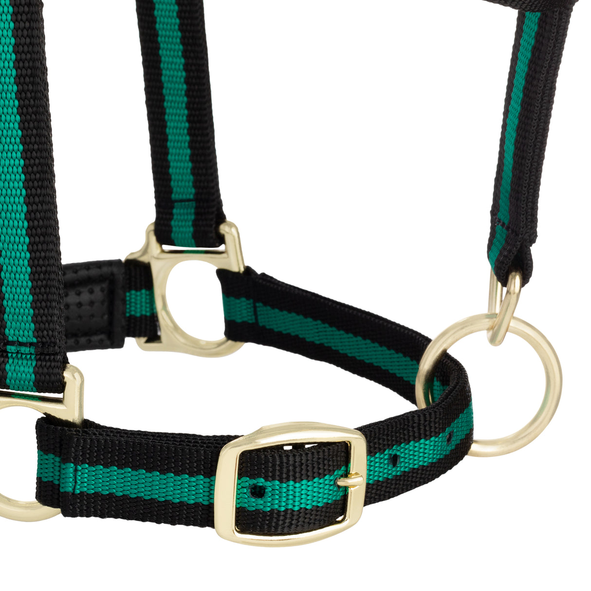 Padded Adjustable Chin and Throat Snap Halter, Striped