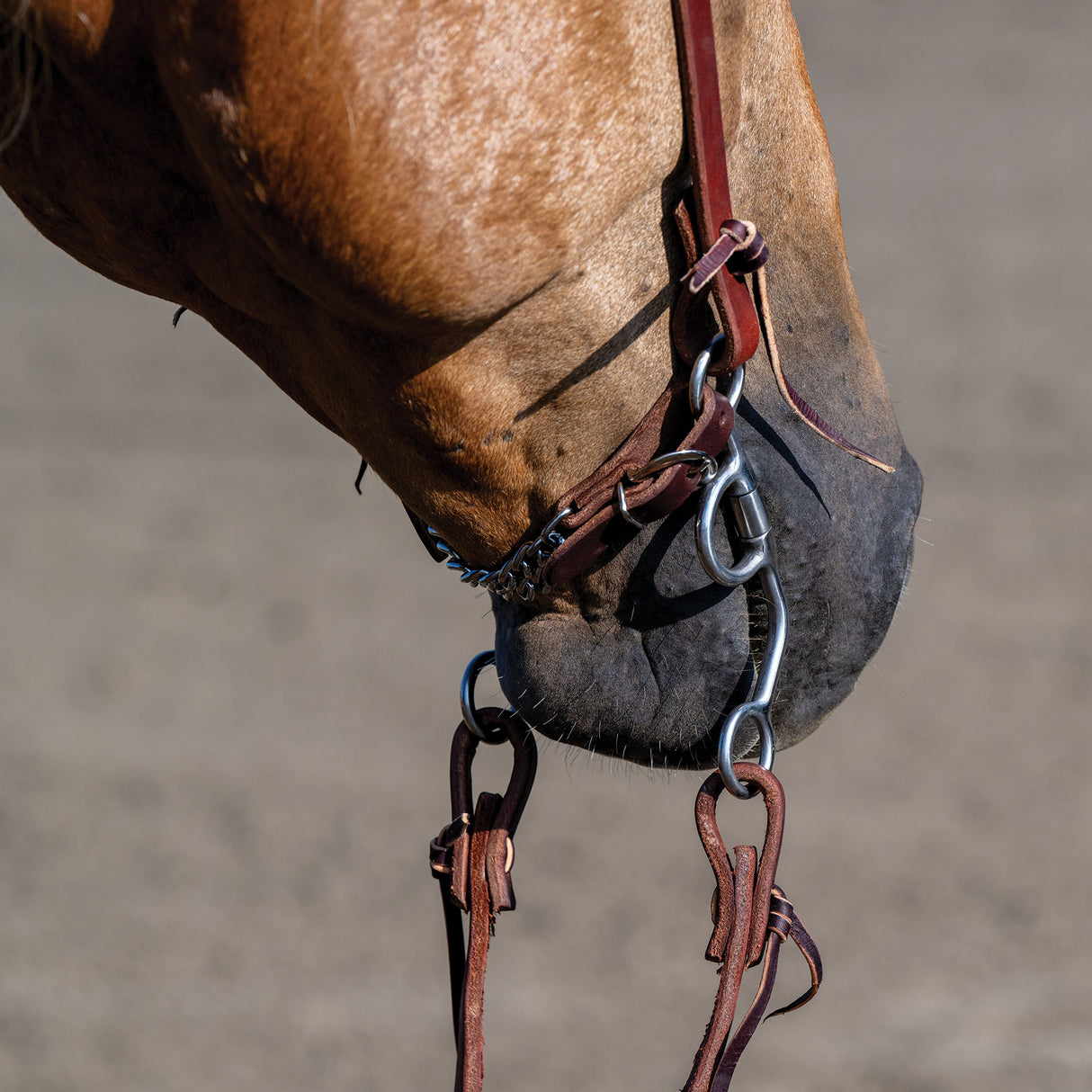 Professional Argentine Bit, 5" Sweet Iron Three-Piece Mouth