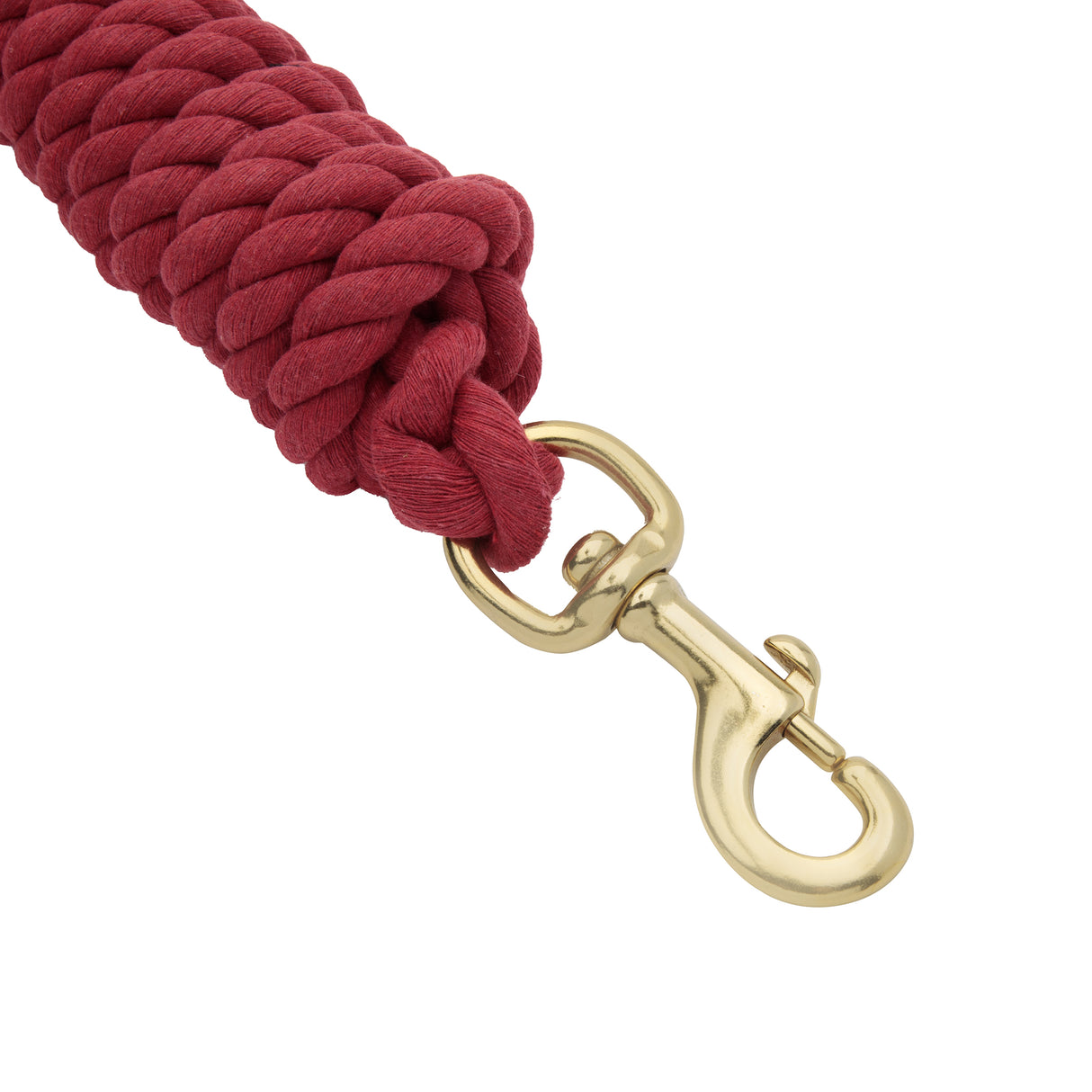 Cotton Lead Rope with Brass Plated 225 Snap, 5/8" x 10'