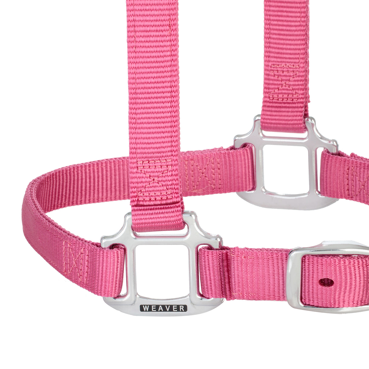 Original Adjustable Nylon Halter with Chrome Plated Hardware