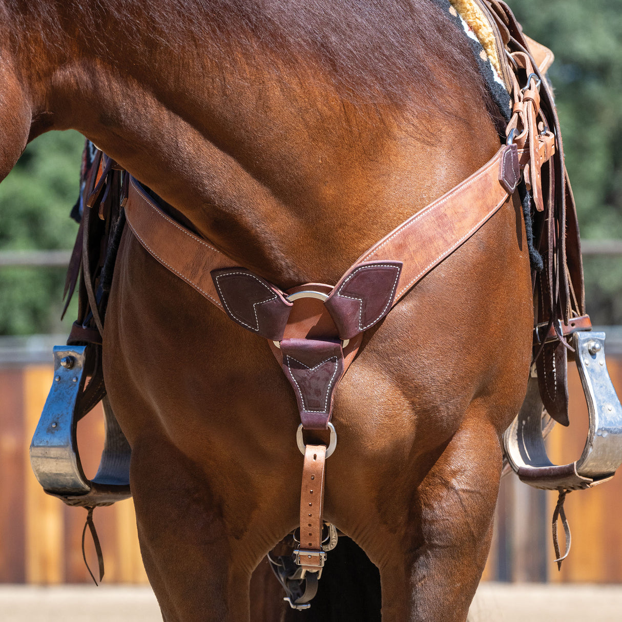 Harness and Latigo Leather Roper Breast Collar