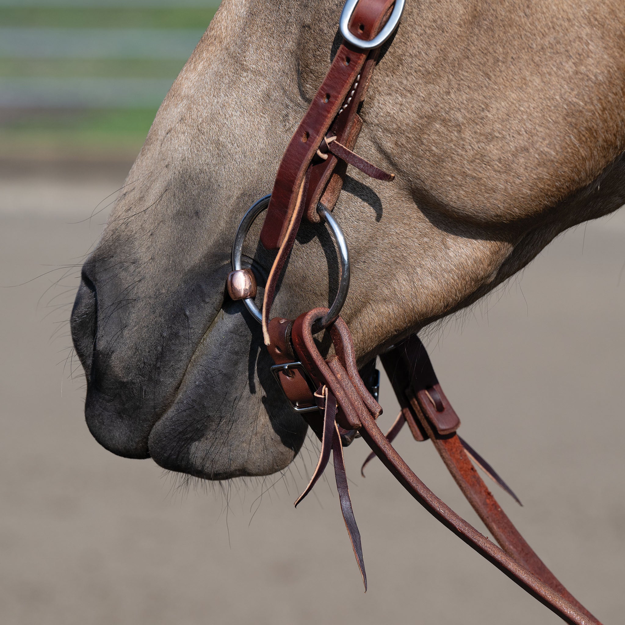 Professional Ring Snaffle Bit, 5" Copper Mouth