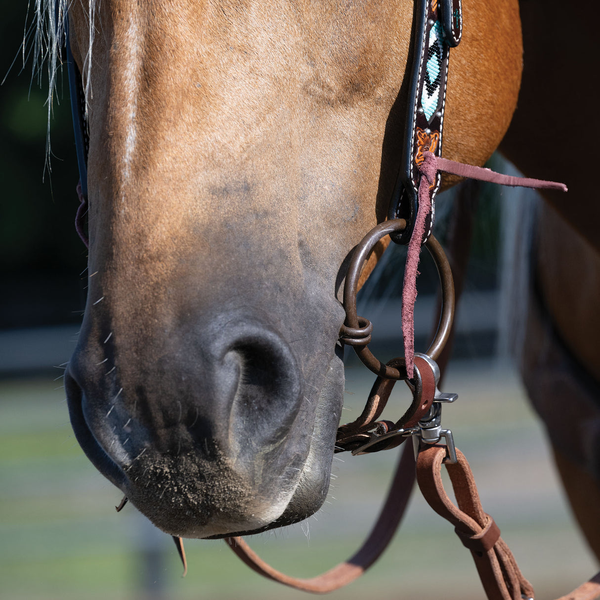 Professional Ring Snaffle Bit, 5" Twisted Curved Mouth