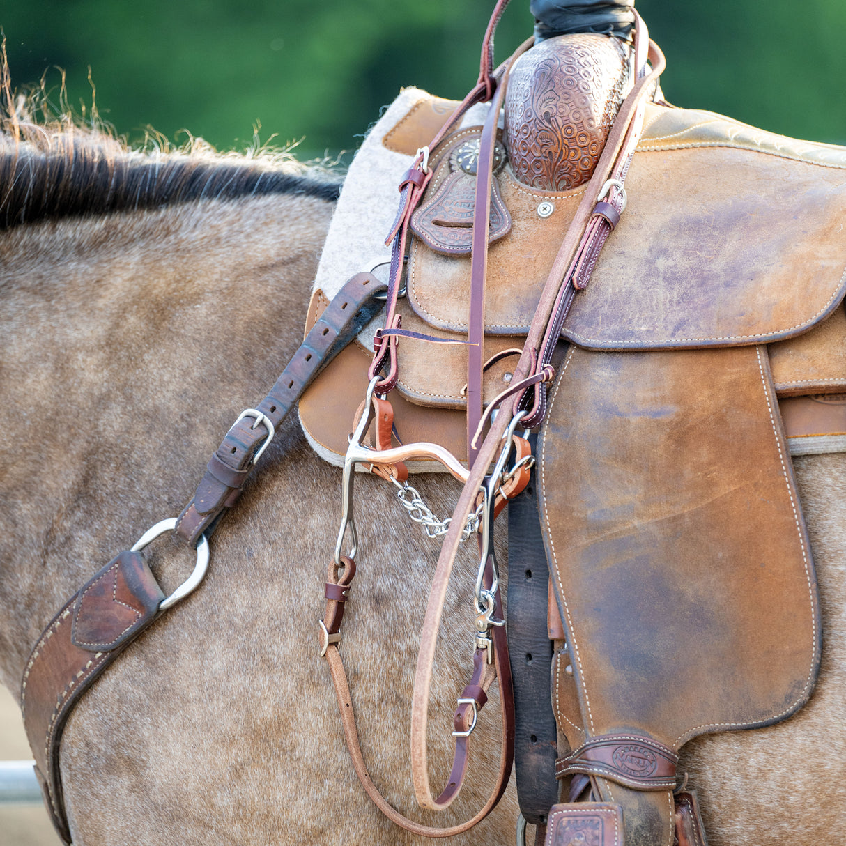 All Purpose Bit, 5-1/2" Medium Port Copper Mouth