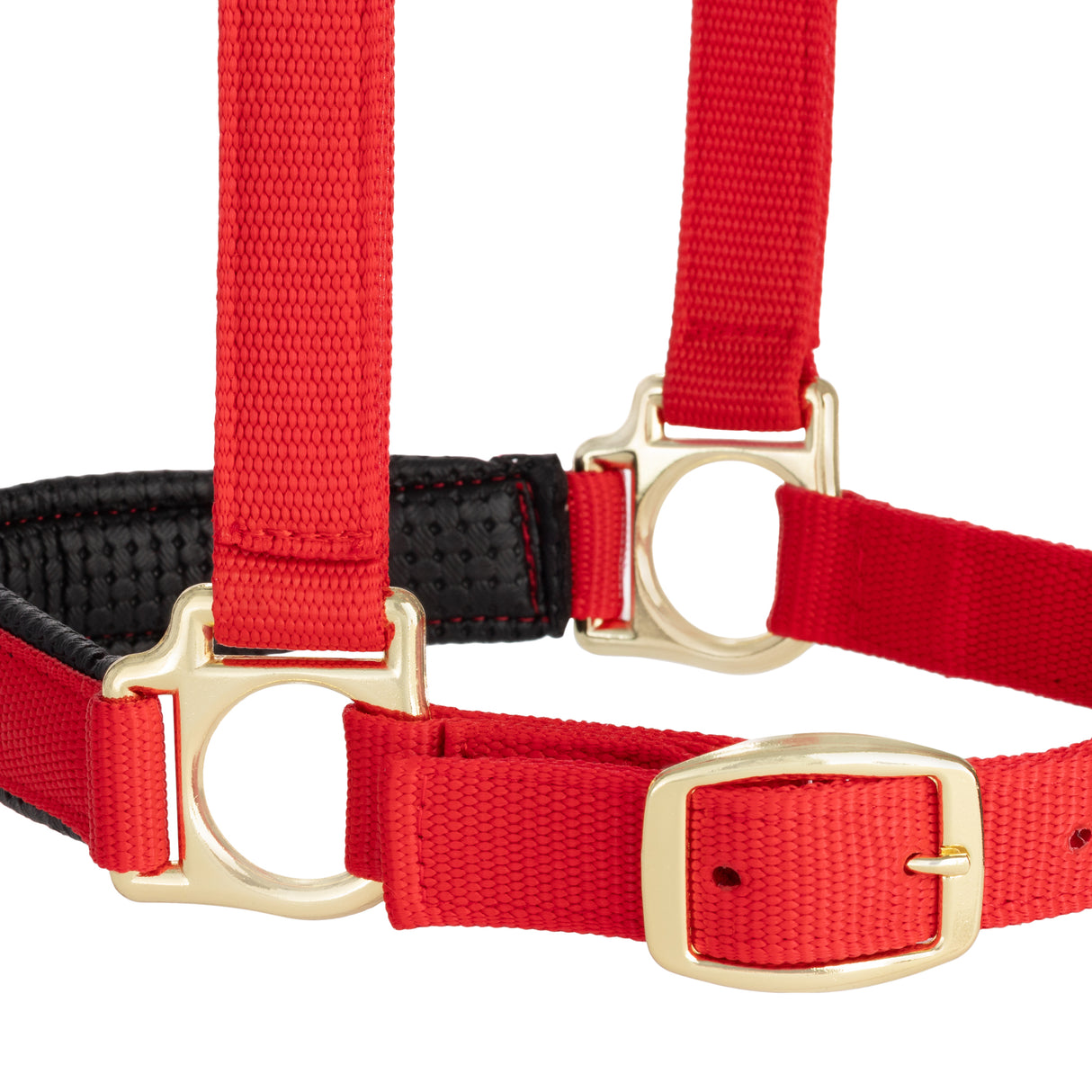 Padded Adjustable Chin and Throat Snap Halter, Solid Colors