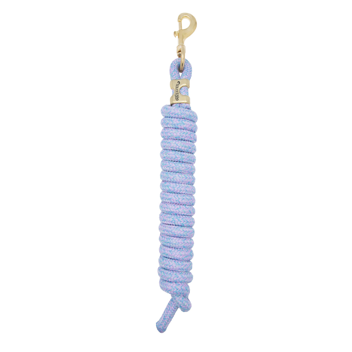 Poly Lead Rope with a Solid Brass 225 Snap