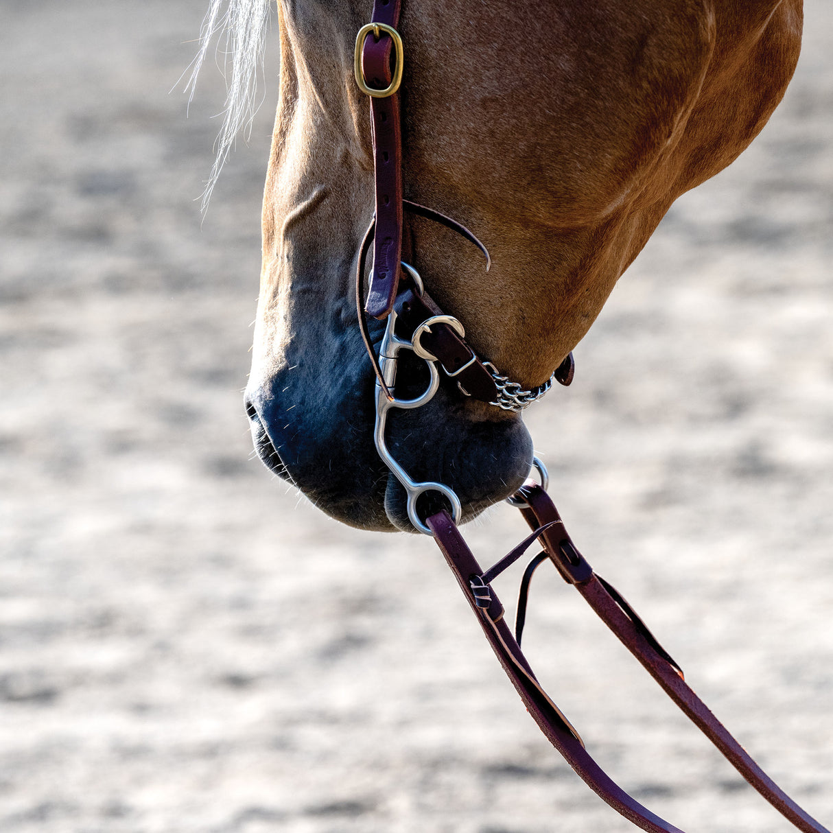 Professional Argentine Bit, 5" Sweet Iron Three-Piece Mouth