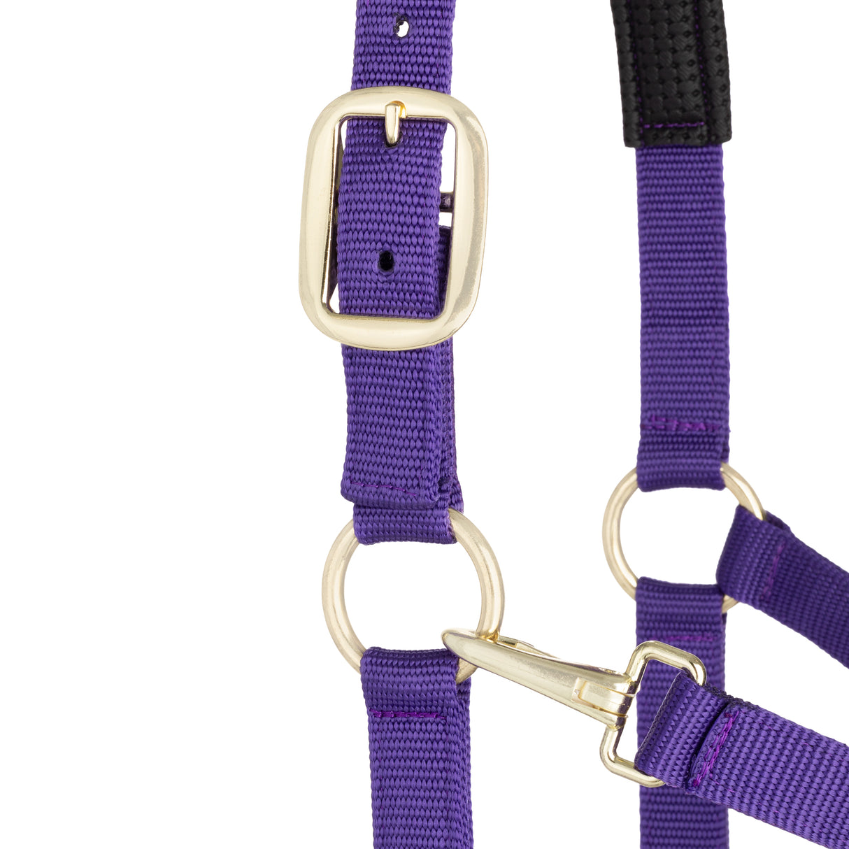 Padded Adjustable Chin and Throat Snap Halter, Solid Colors