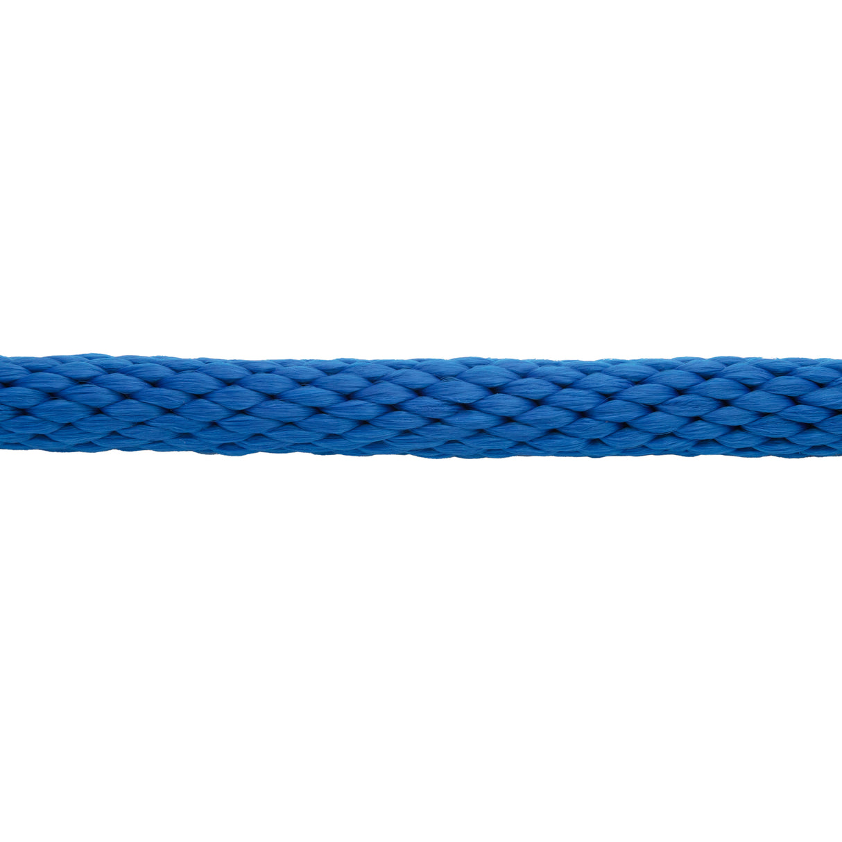 Mini/Pony Lead with Brass Snap