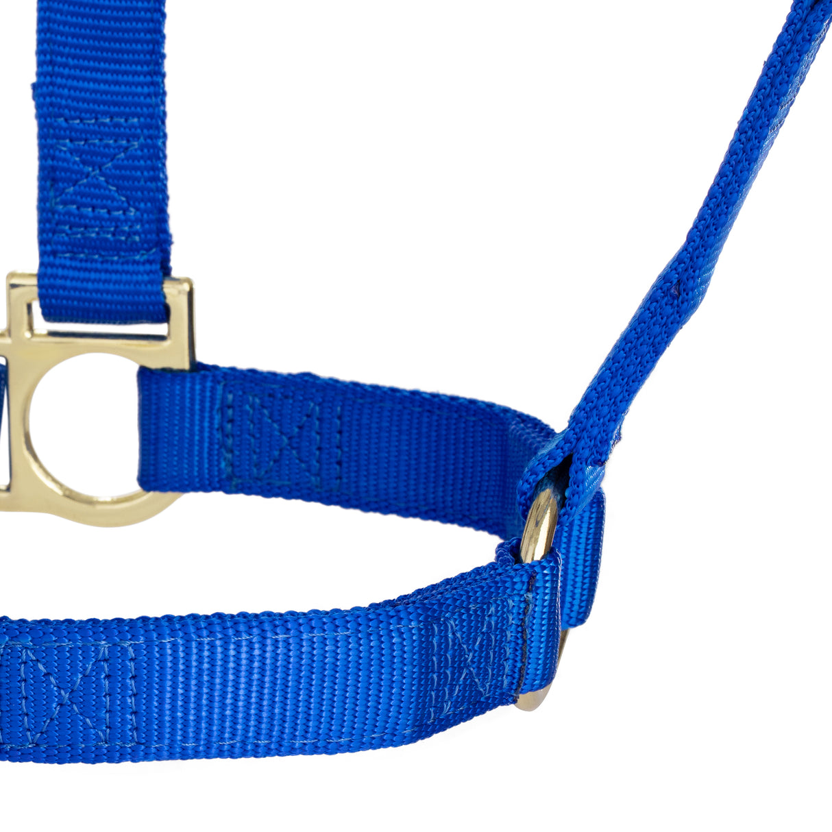 Basic Non-Adjustable Halter