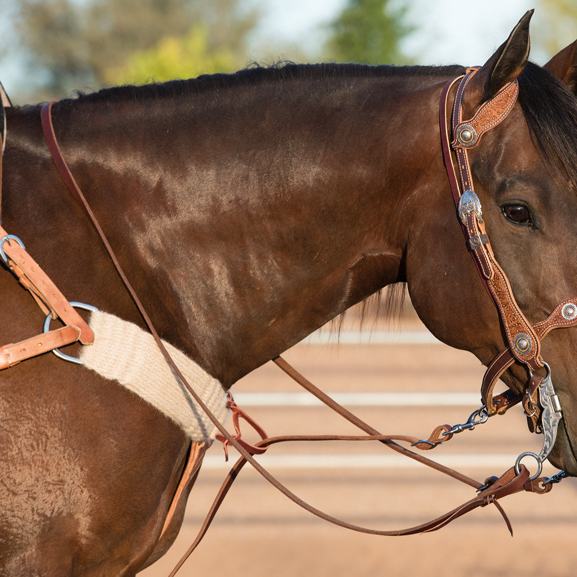 Mohair and Alpaca Breast Collars