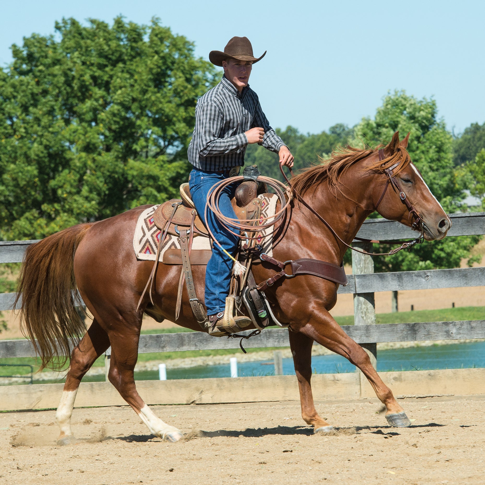 Working Tack Bridle