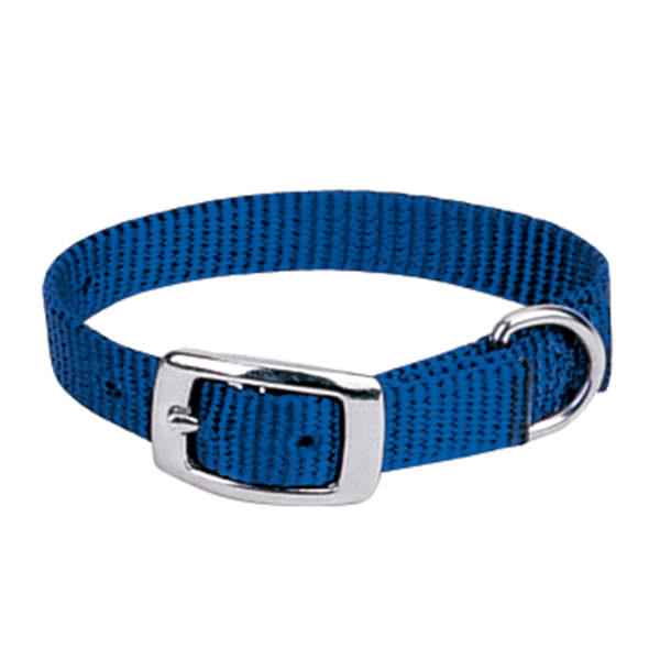 Prism Choice Nylon Dog Collar, Blue, 3/4" X 15"