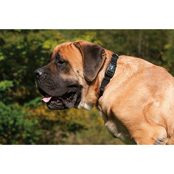 Prism Snap-n-Go Adjustable Collar