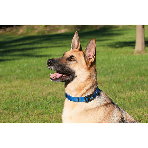 Prism Snap-n-Go Adjustable Collar