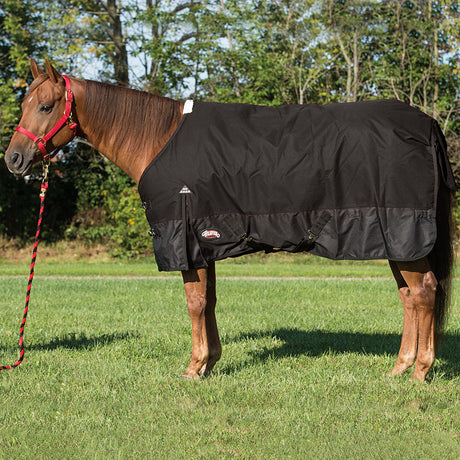 Economy Turnout Blanket, 1,200-denier