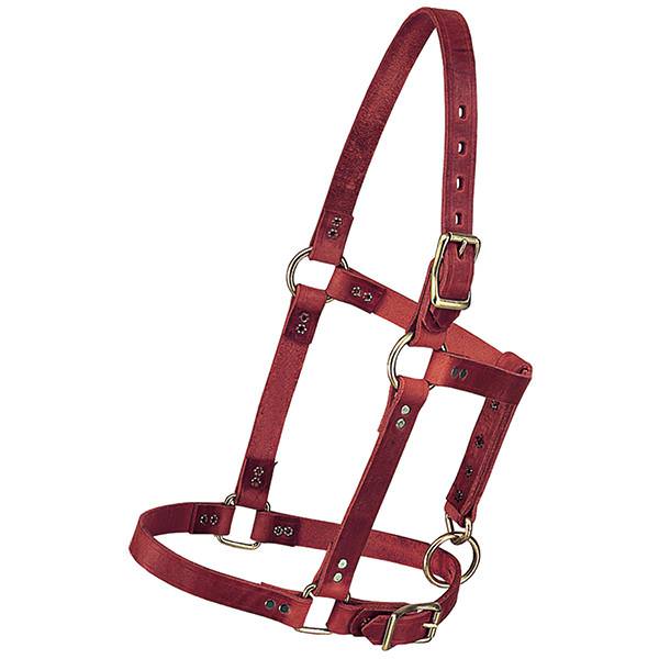 Riveted Halter, 3/4" Yearling