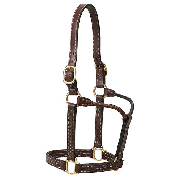 ThoroughBred Halter without Snap, 1 Horse