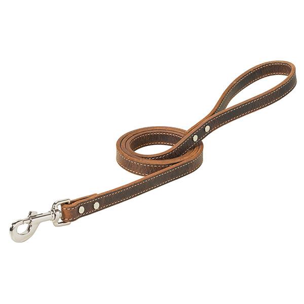 Crazy Horse Dog Leash, 3/4" x 4, Distressed Brown