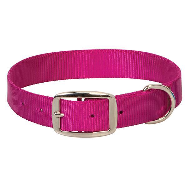 Prism Choice Collar, 3/4" x 15", Raspberry