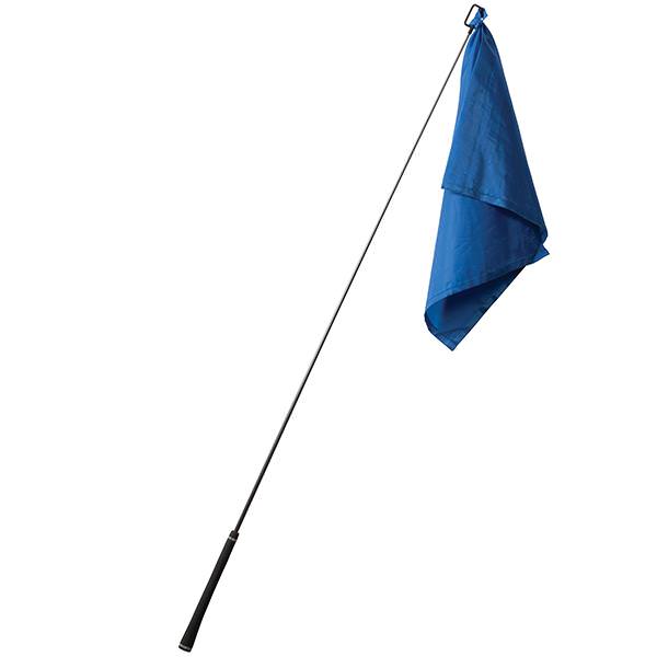Training Flag, Blue