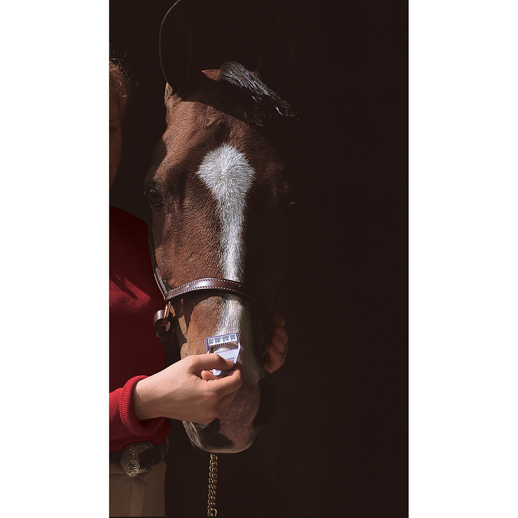 Horse Shave® Two Pack