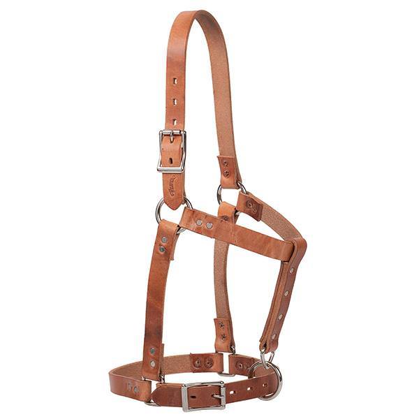 Riveted Halter, 5/8" Weanling, Oiled Canyon Rose