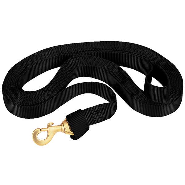 Flat Nylon Lunge Line, 1" x 24 with Snap