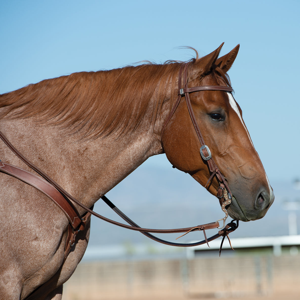 Latigo Leather Lined Headstall with Floral Designer Hardware