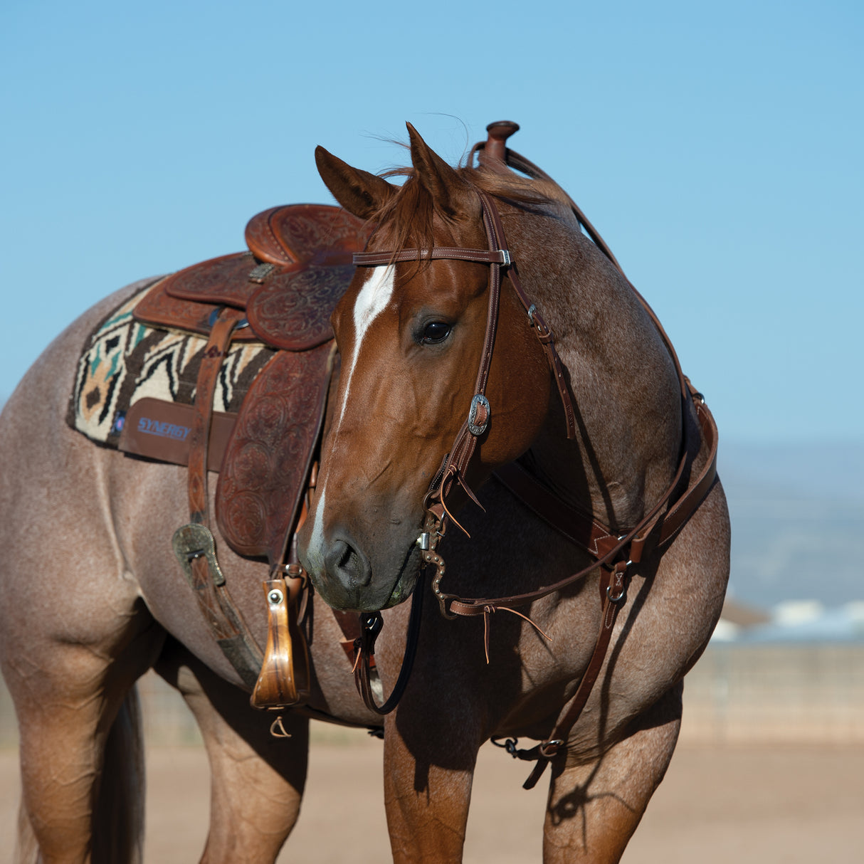 Latigo Leather Lined Headstall with Floral Designer Hardware
