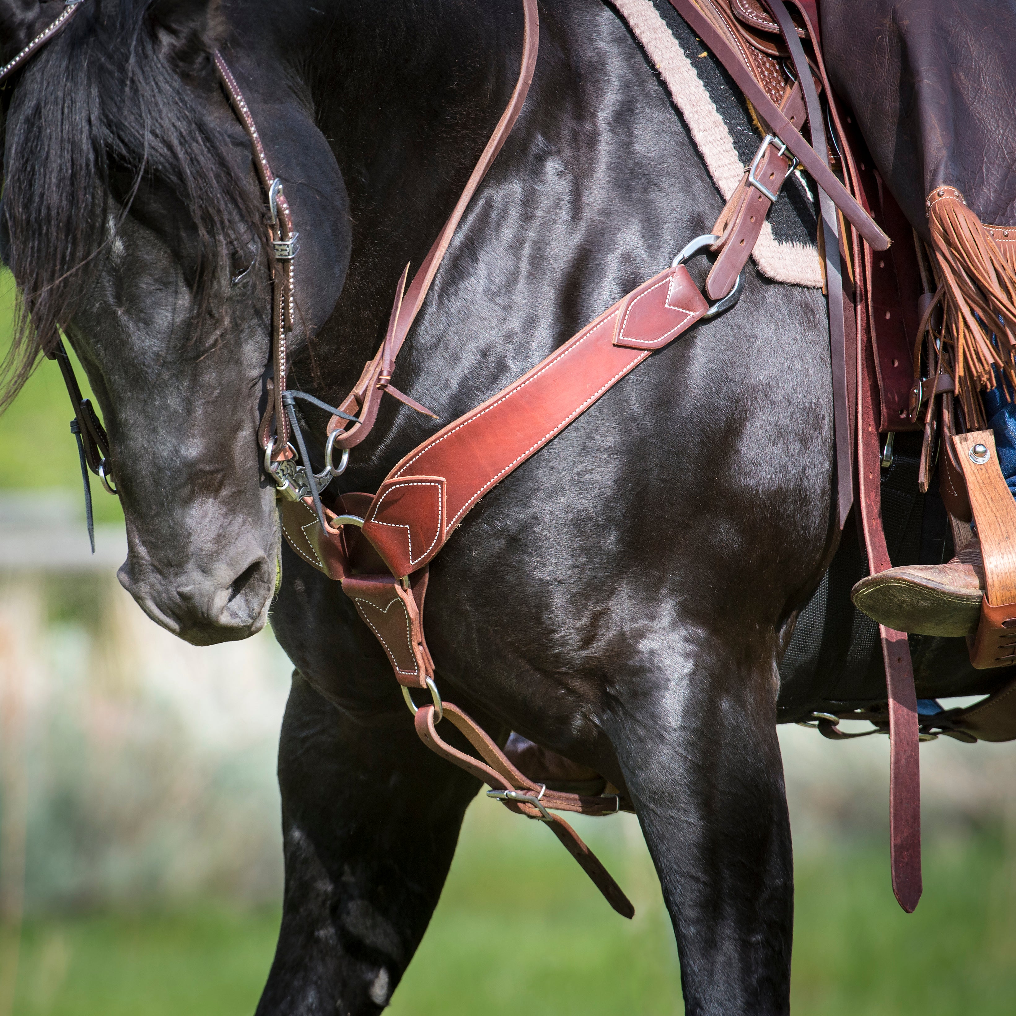 Working Tack Breast Collar
