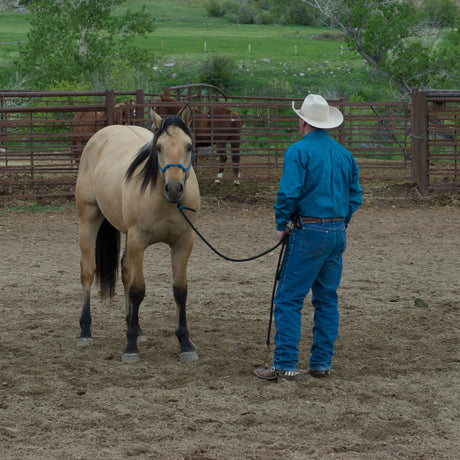 Silvertip Four Knot Rope Halter